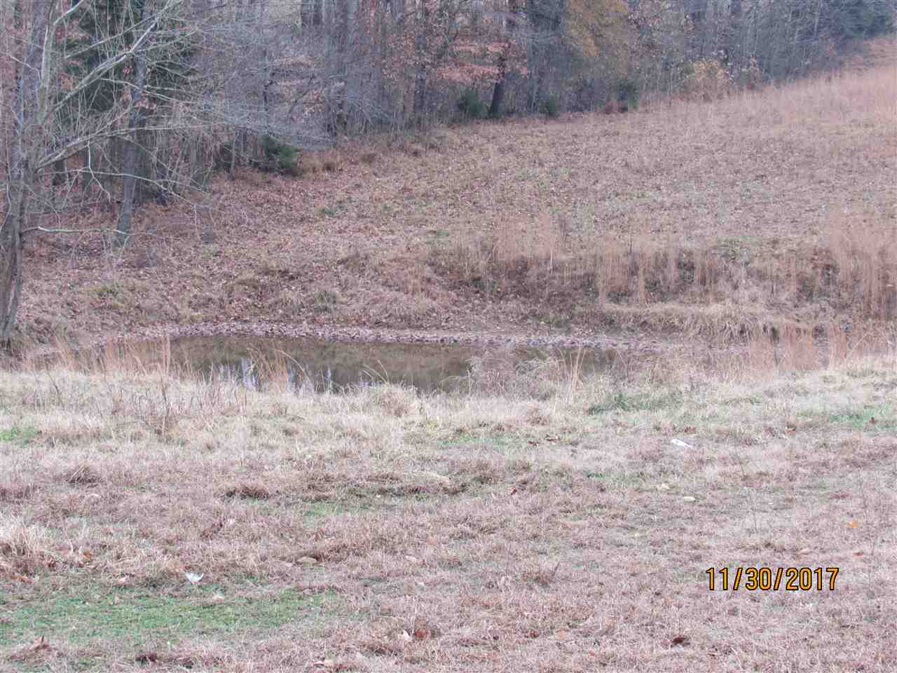 1047 Pea Ridge Road Scottsville, KY 42164 - Photo 13 of 23 Gallery Image 13