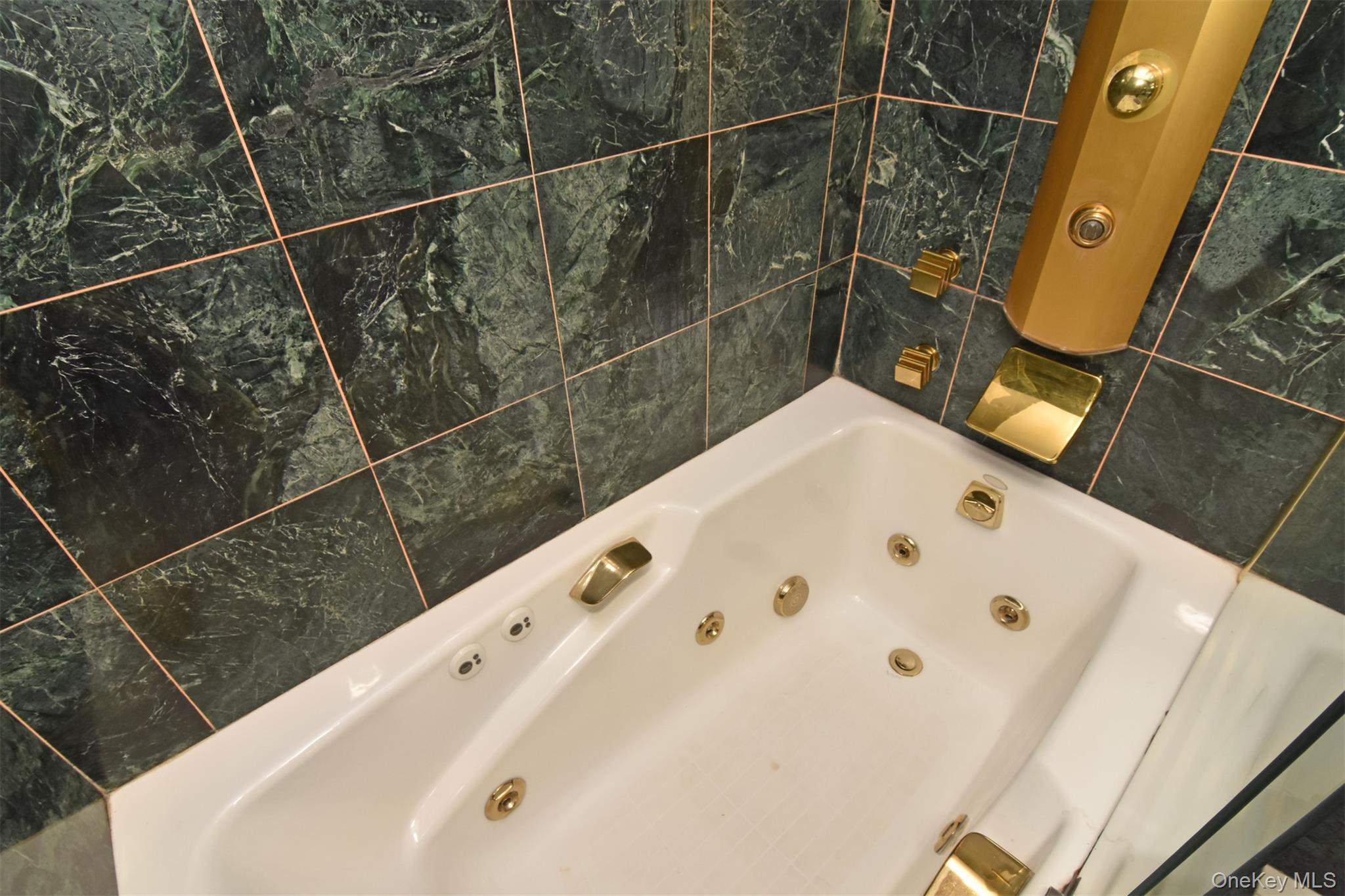 915 Wynnewood Road, Unit A3 Pelham, NY 10803 - Photo 12 of 19 Primary bath-Jacuzzi