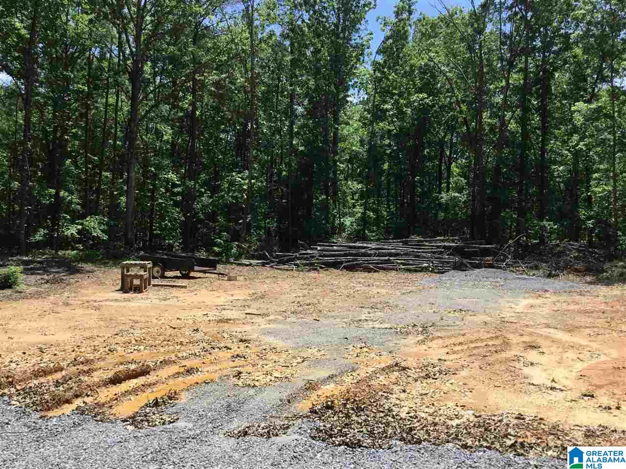 7237 Joinertown Road, Unit 7 09 ACRES Columbiana, AL 35051 - Photo 8 of 17