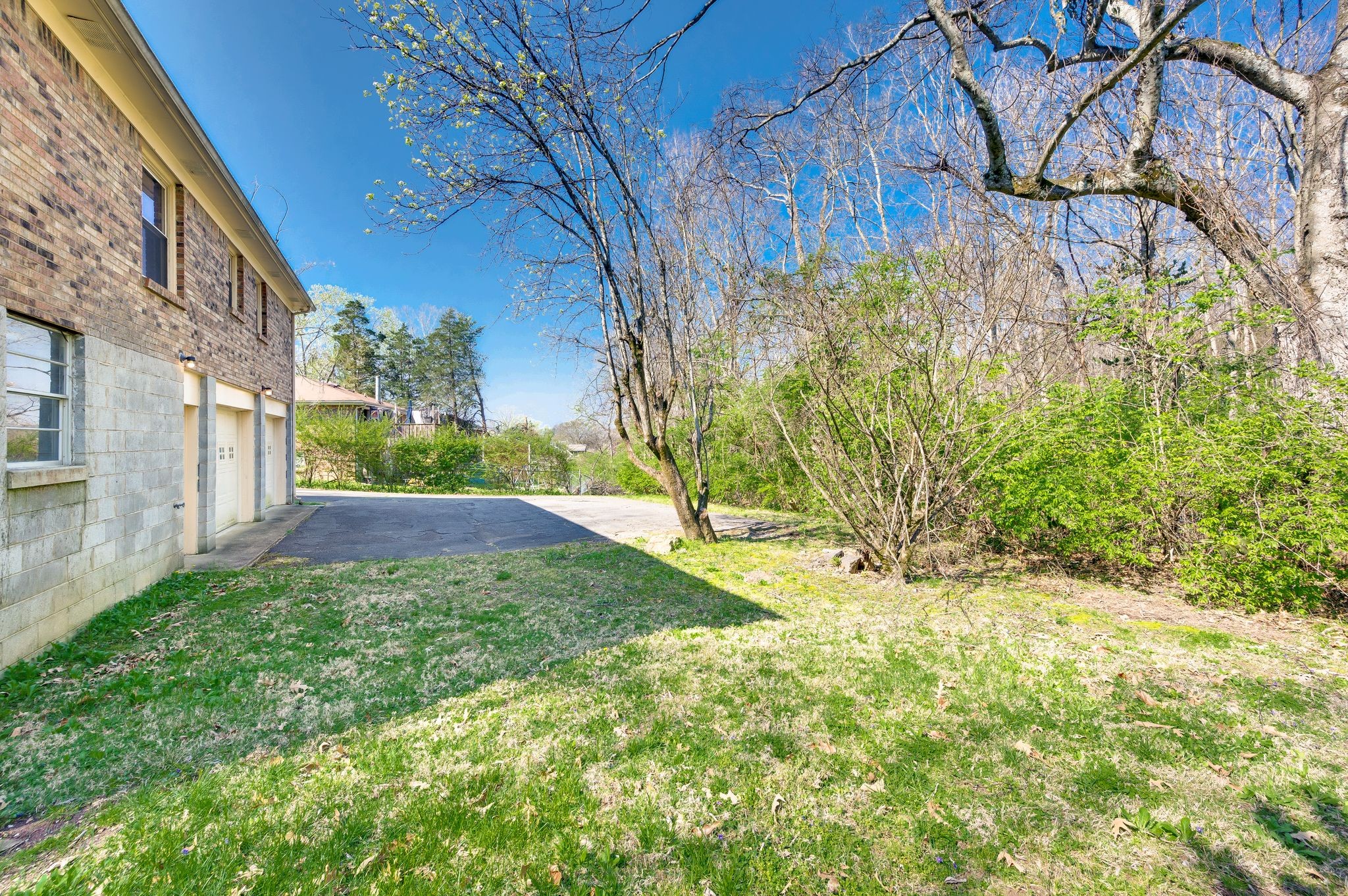520 Holt Valley Road Nashville, TN 37209 - Photo 31 of 47 a view of yard with tree