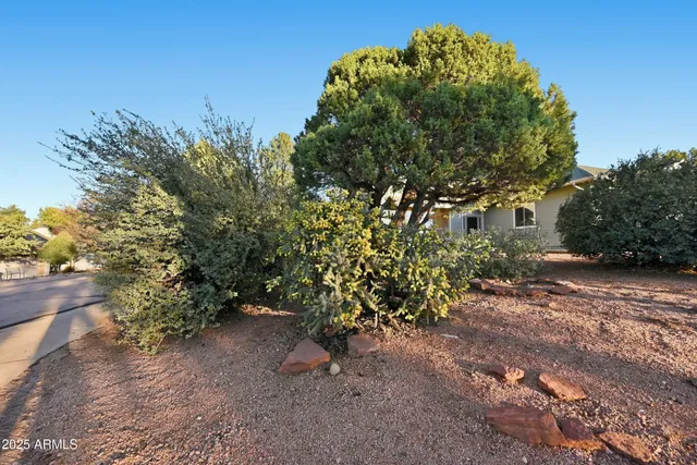 a view of park benches