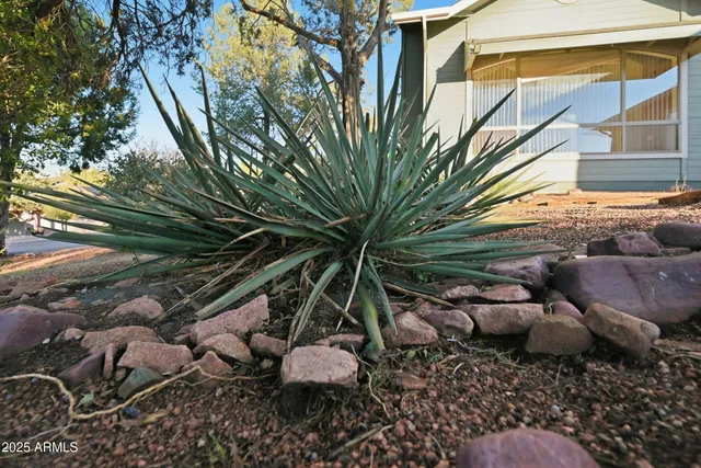 a view of a backyard