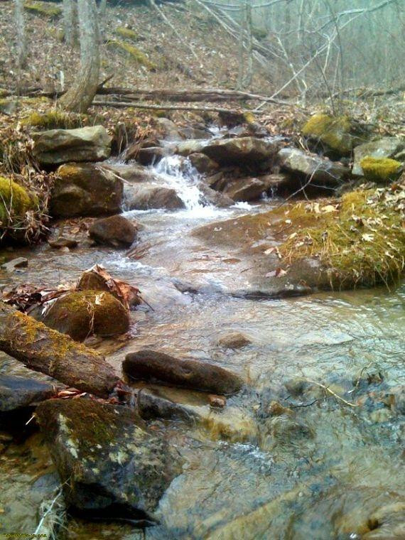 1 Acorn Fork Road Flat Lick, KY 40935 - Photo 8 of 10 Photo 8