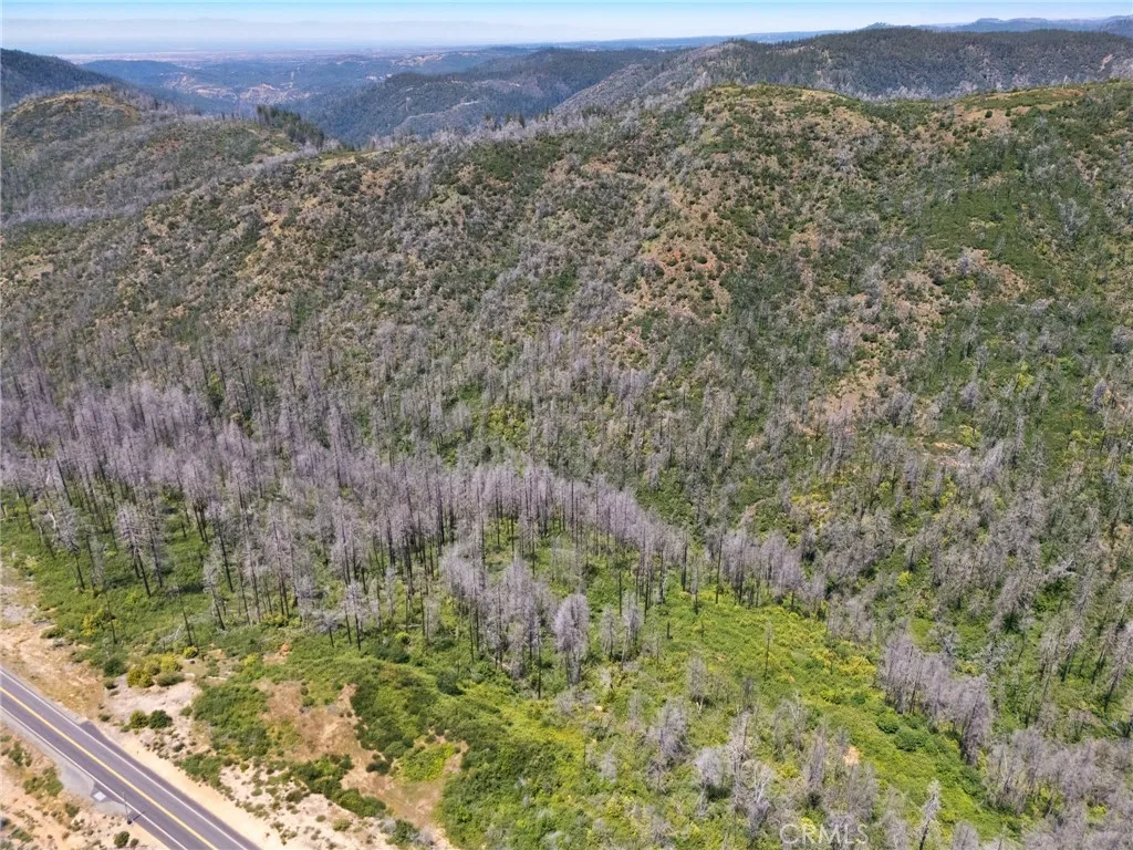 0 Stephens Ridge Road Berry Creek, CA 95916 - Photo 2 of 8