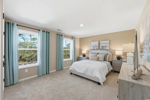 $385,209 | 4103 Collins Farm Way, Conway, SC 29526