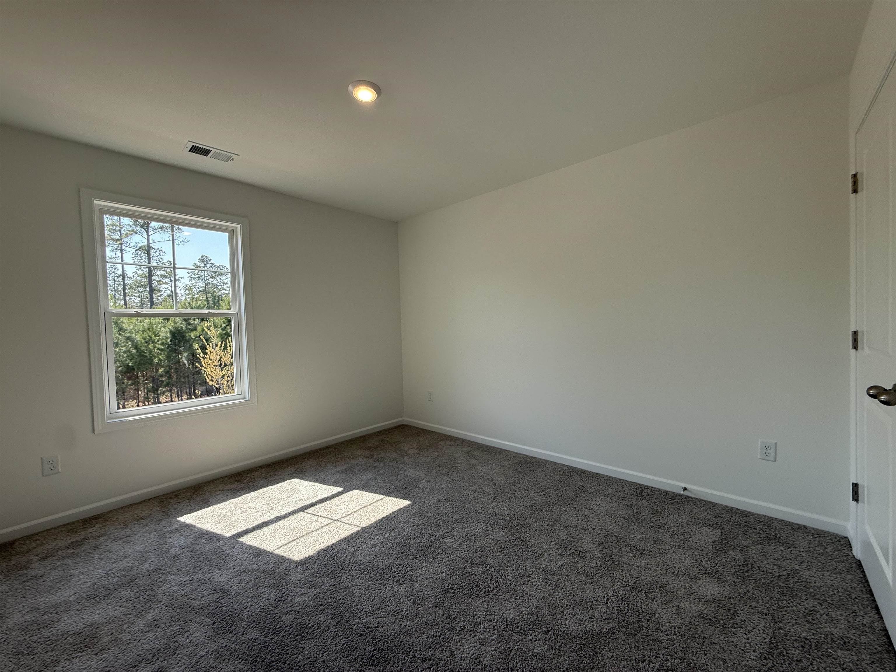 4103 Collins Farm Way Conway, SC 29526 - Photo 24 of 43