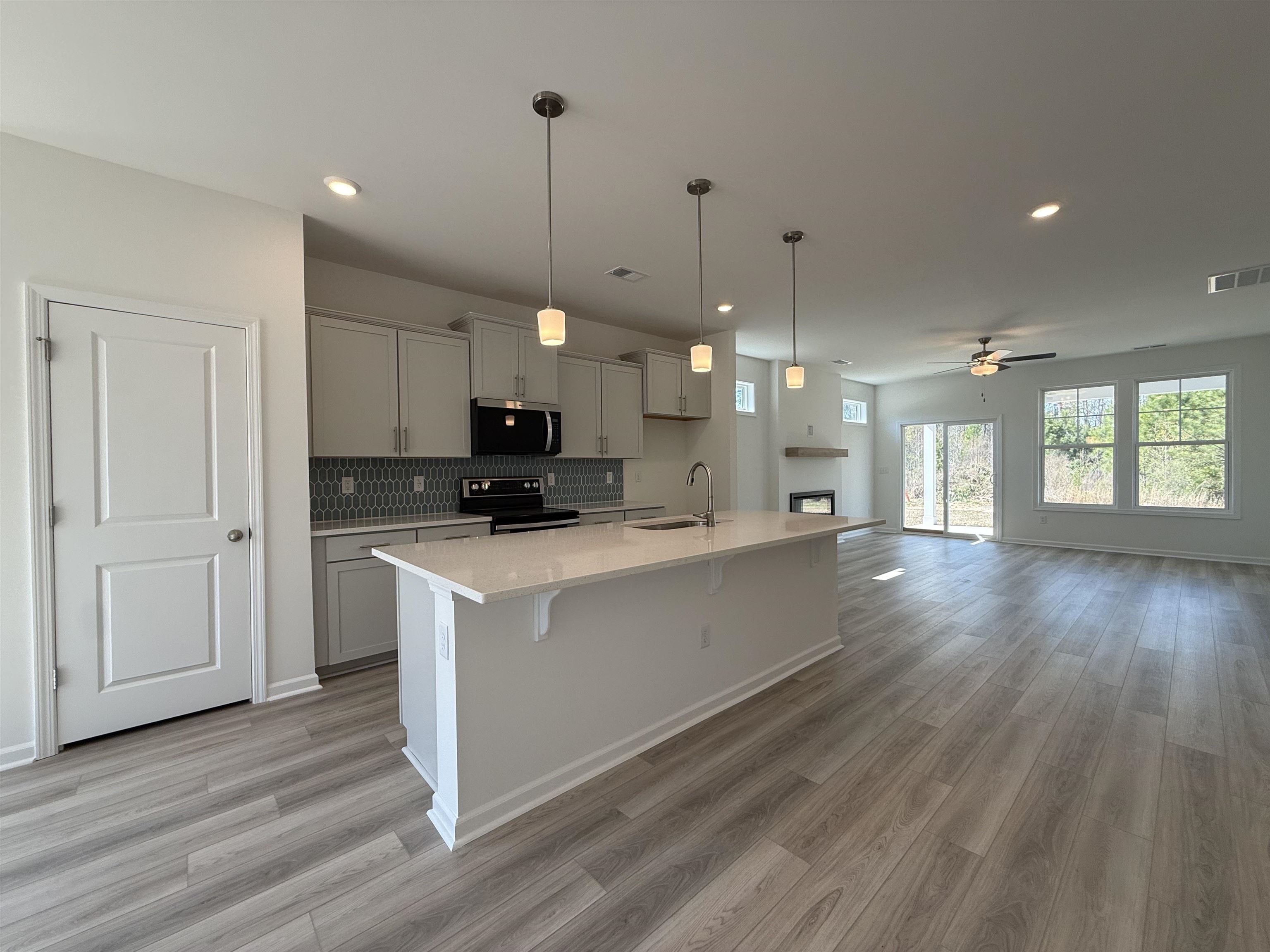 4103 Collins Farm Way Conway, SC 29526 - Photo 4 of 43