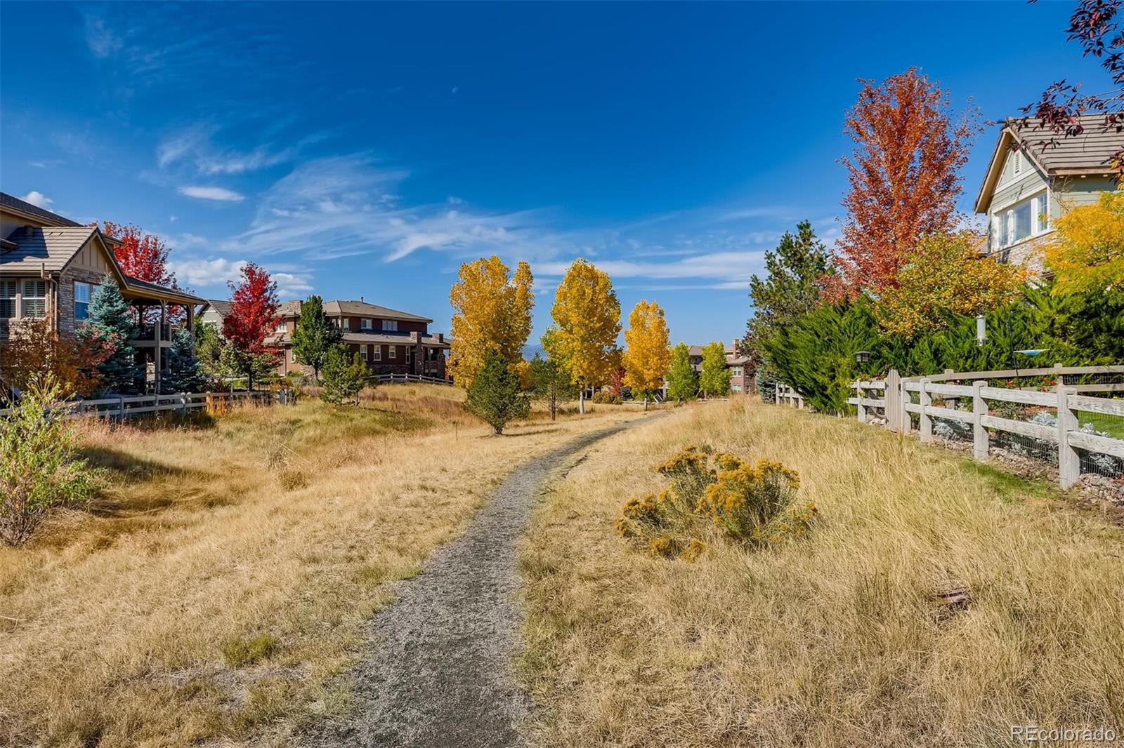 349 Maplehurst Point Highlands Ranch, CO 80126 - Photo 39 of 40 Gallery Image 39
