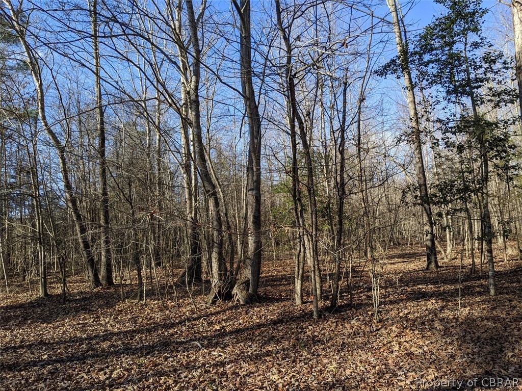 0 New Landing Road Gloucester, VA 23061 - Photo 4 of 4