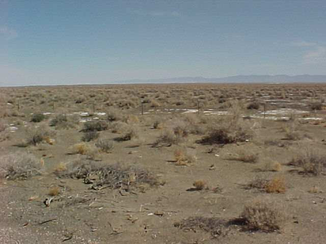 a view of an ocean beach