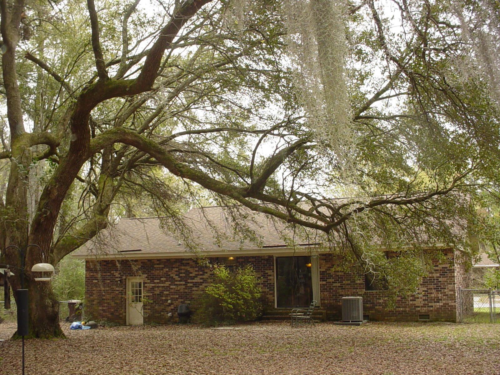 311 Read Street Moncks Corner, SC 29461 - Photo 2 of 18 DSC03090