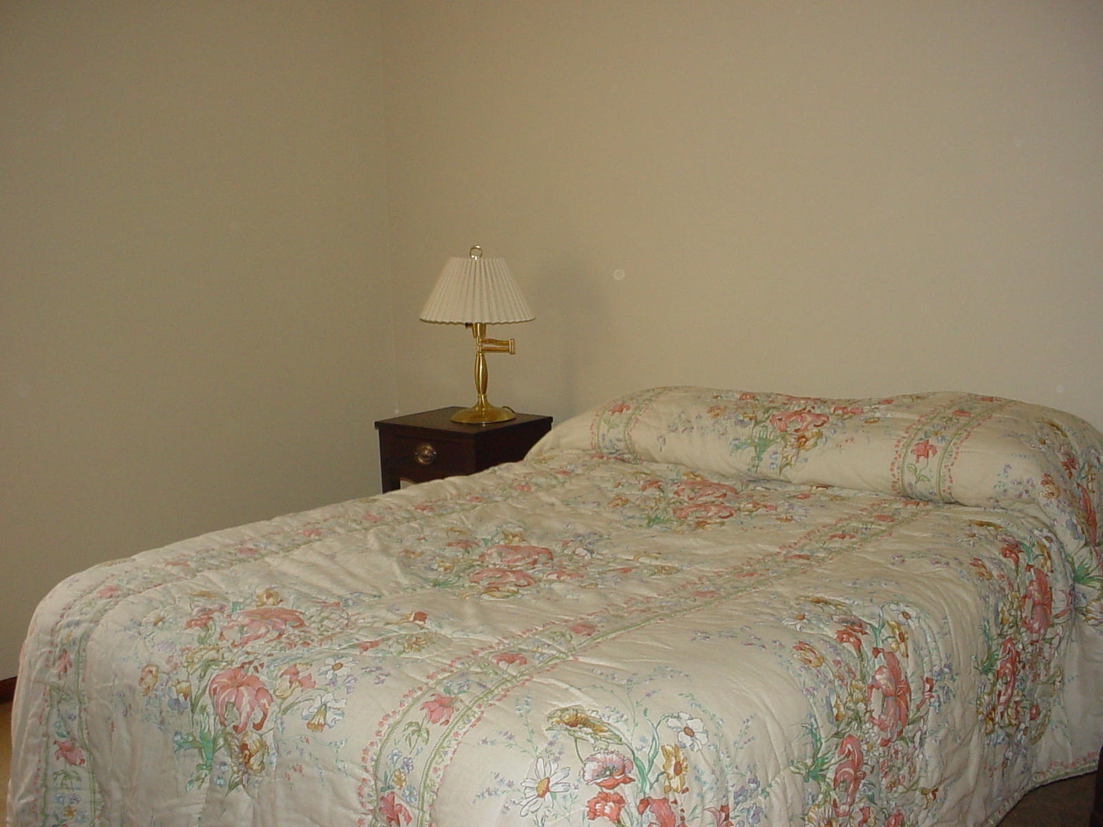 311 Read Street Moncks Corner, SC 29461 - Photo 14 of 18 DSC03143
