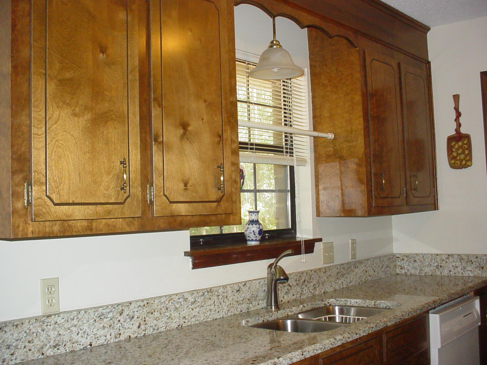 311 Read Street Moncks Corner, SC 29461 - Photo 9 of 18 DSC03125
