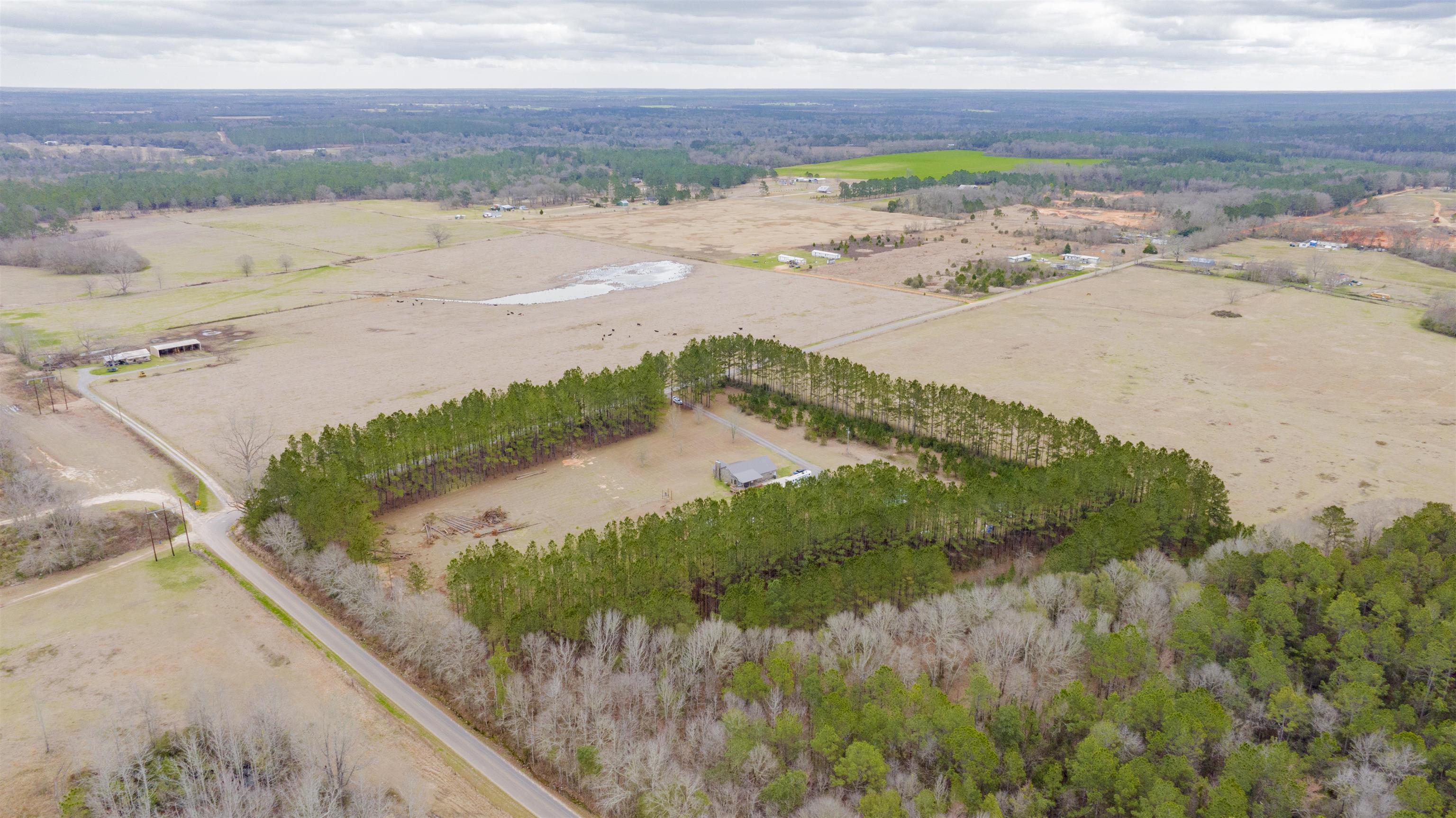 54879 Coleman Road Perdido, AL 36562 - Photo 35 of 38