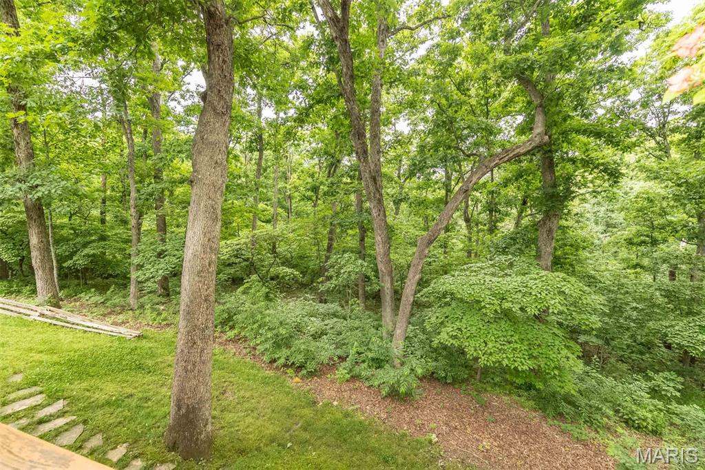 7 Walnut Ridge Court Defiance, MO 63341 - Photo 28 of 70