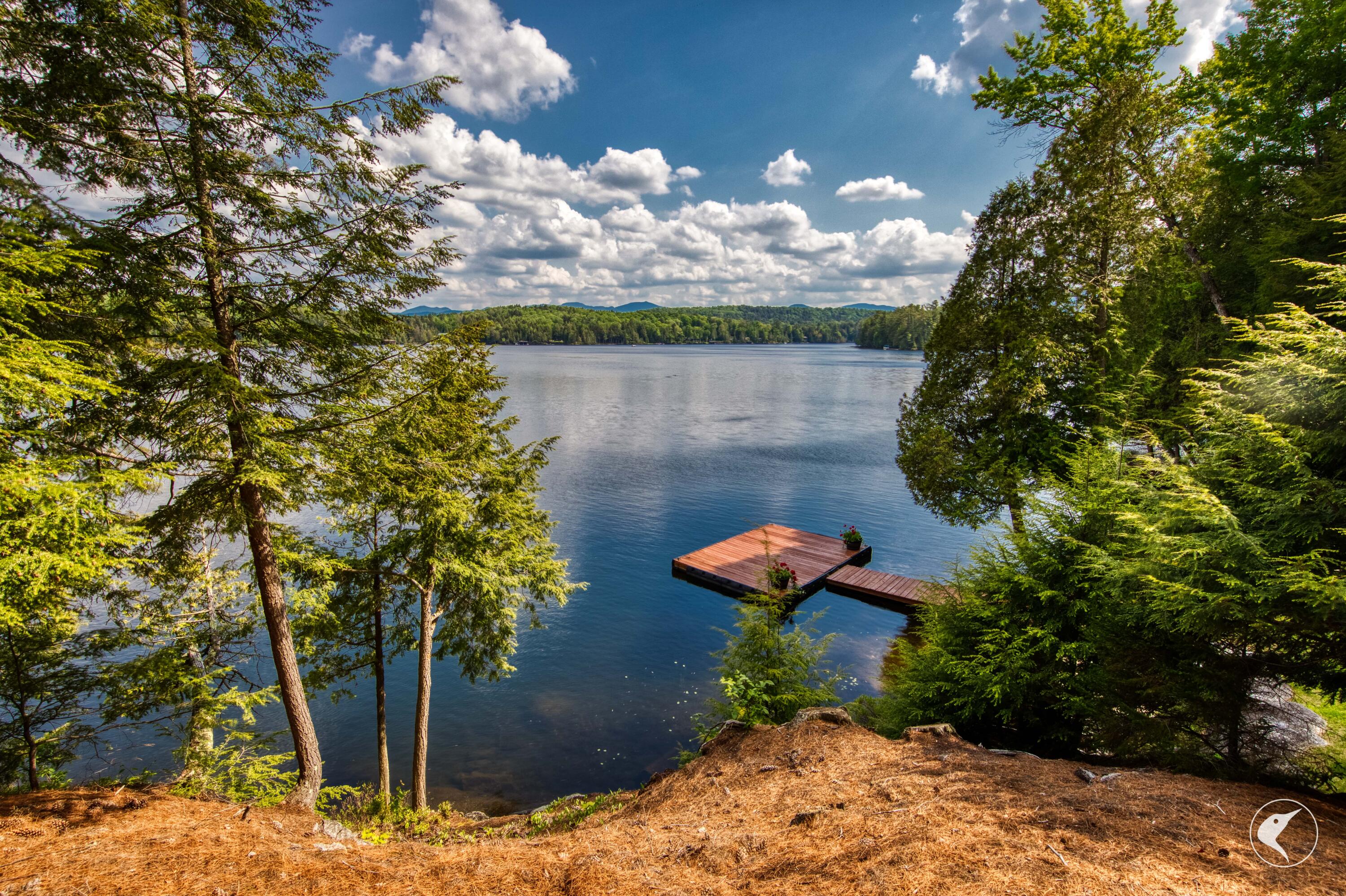 225 West Shore Road Saranac Lake, NY 12983 - Photo 51 of 71 AA7A8537