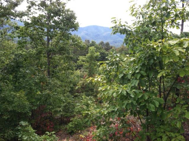 10 Smithfield Road Tellico Plains, TN 37385 - Photo 1 of 25 view 4