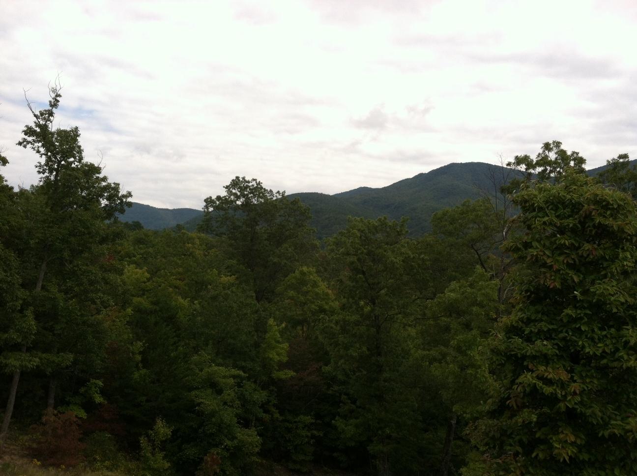 10 Smithfield Road Tellico Plains, TN 37385 - Photo 2 of 25 view 1
