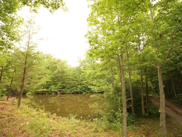 10 Smithfield Road Tellico Plains, TN 37385 - Photo 13 of 25 IMG_4391