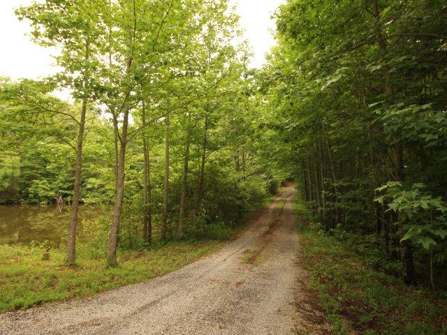 10 Smithfield Road Tellico Plains, TN 37385 - Photo 14 of 25 IMG_4393