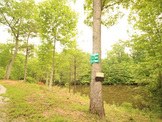 10 Smithfield Road Tellico Plains, TN 37385 - Photo 15 of 25 IMG_4395