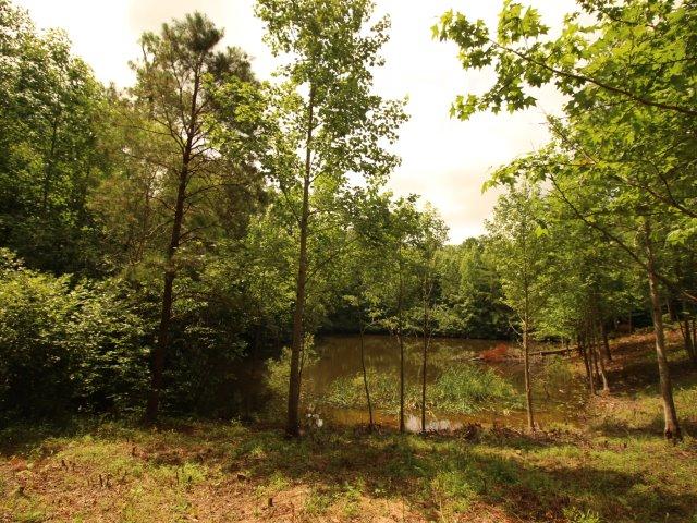 10 Smithfield Road Tellico Plains, TN 37385 - Photo 16 of 25 IMG_4404