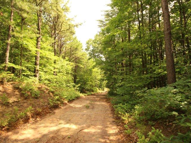 10 Smithfield Road Tellico Plains, TN 37385 - Photo 18 of 25 IMG_4412