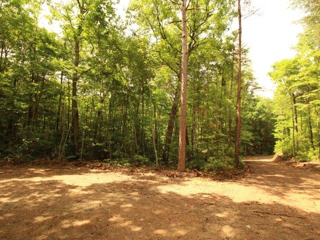 10 Smithfield Road Tellico Plains, TN 37385 - Photo 20 of 25 IMG_4420