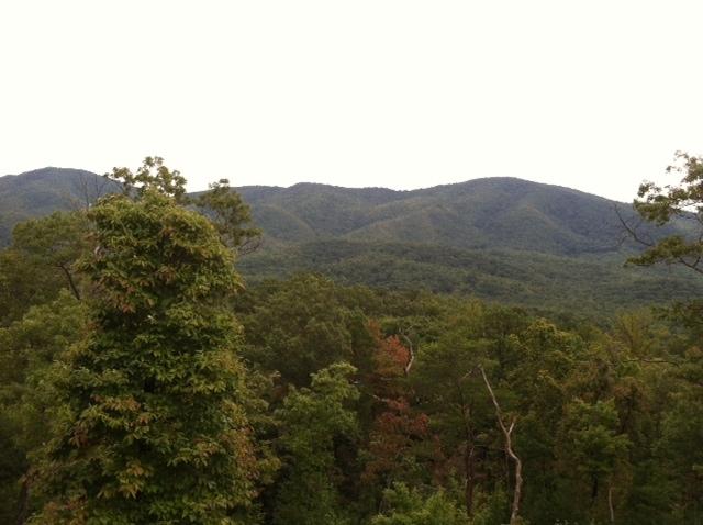10 Smithfield Road Tellico Plains, TN 37385 - Photo 3 of 25 view 2