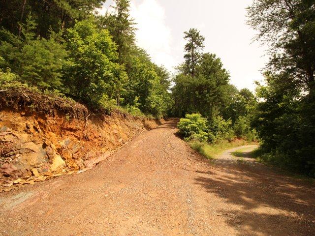 10 Smithfield Road Tellico Plains, TN 37385 - Photo 22 of 25 IMG_4431