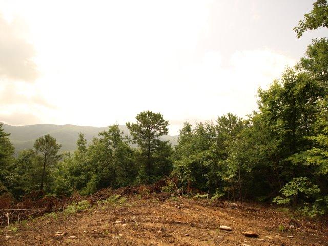 10 Smithfield Road Tellico Plains, TN 37385 - Photo 23 of 25 IMG_4435