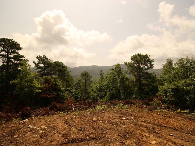 10 Smithfield Road Tellico Plains, TN 37385 - Photo 24 of 25 IMG_4446