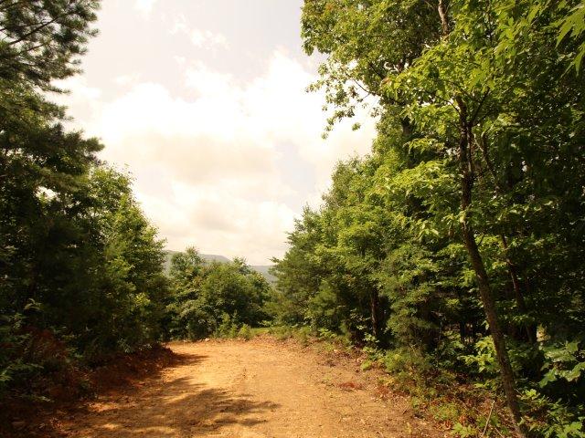 10 Smithfield Road Tellico Plains, TN 37385 - Photo 25 of 25 IMG_4454