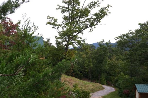 10 Smithfield Road Tellico Plains, TN 37385 - Photo 10 of 25 road