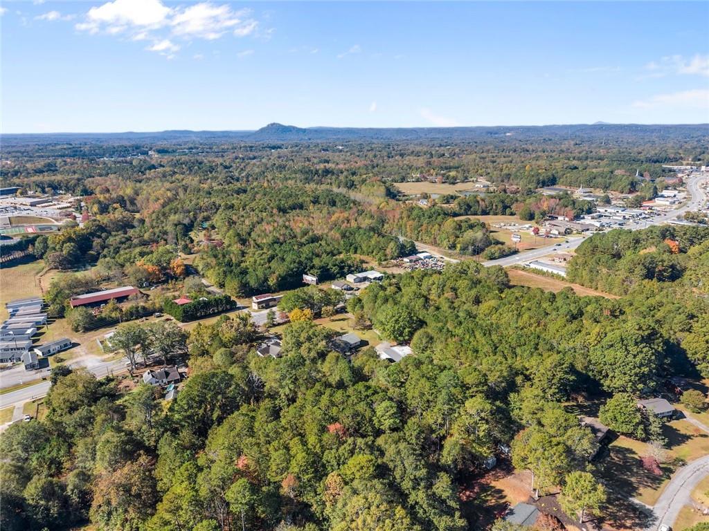 3089 Highway 17 Alternate Toccoa, GA 30577 - Photo 41 of 51 an aerial view of multiple house
