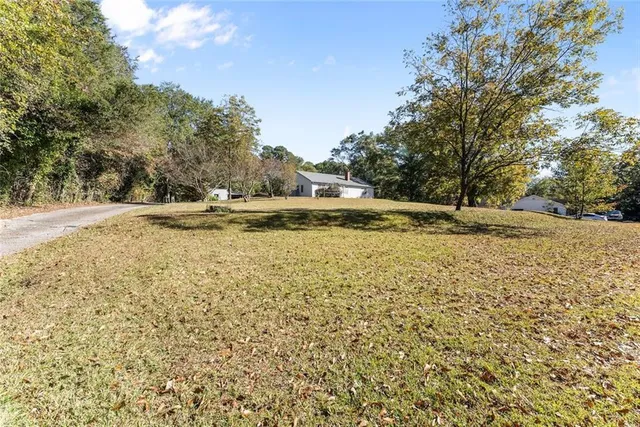 a view of large trees and a yard