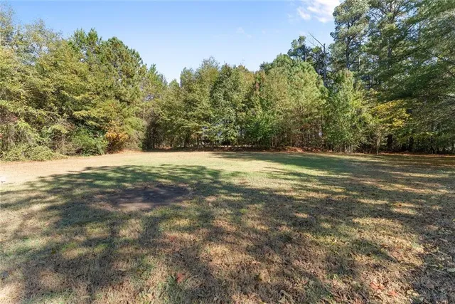 a view of a field with trees in the background