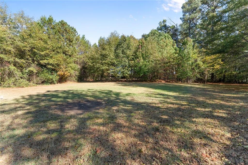 3089 Highway 17 Alternate Toccoa, GA 30577 - Photo 48 of 51 a view of a field with trees in the background