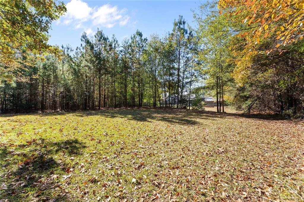 3089 Highway 17 Alternate Toccoa, GA 30577 - Photo 6 of 51 a view of house with outdoor space