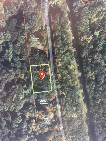 a outdoor space with lots of trees