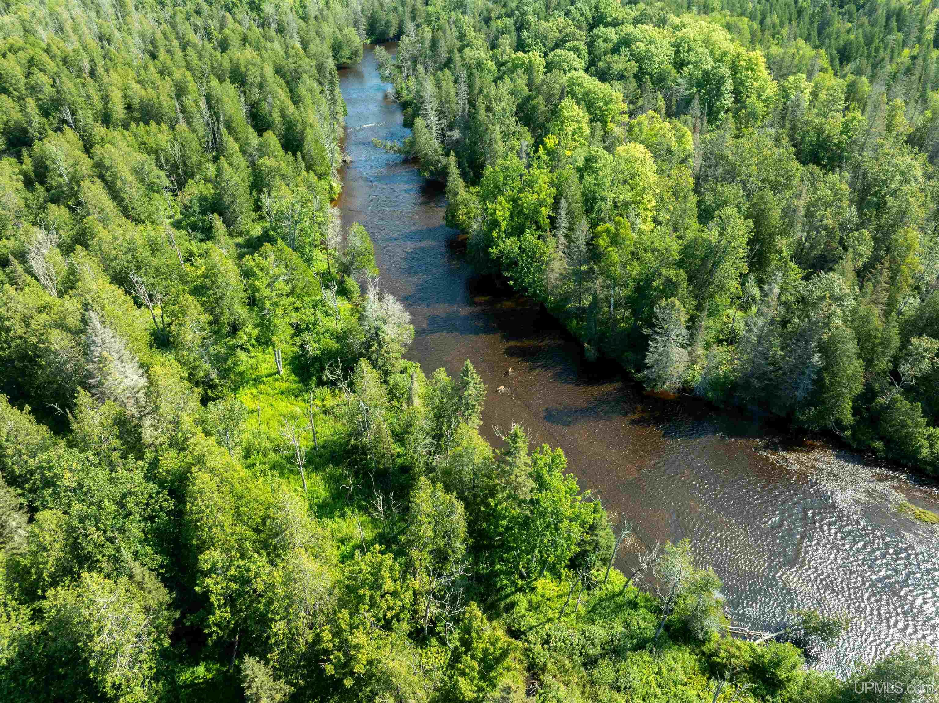 75 Rd Rapid River Munising, MI 49862 - Photo 39 of 48