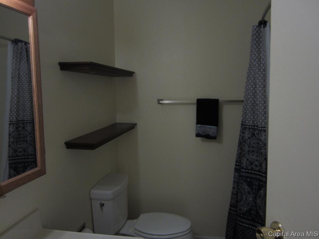 517 Sattley Street Rochester, IL 62563 - Photo 11 of 22