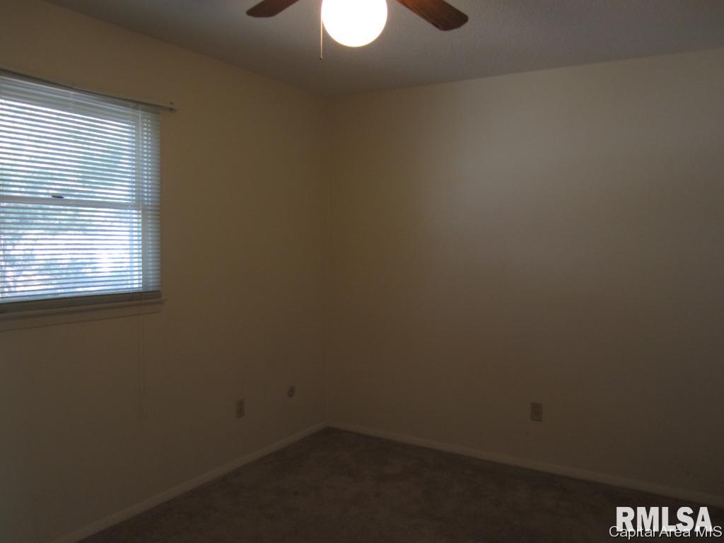 517 Sattley Street Rochester, IL 62563 - Photo 13 of 22