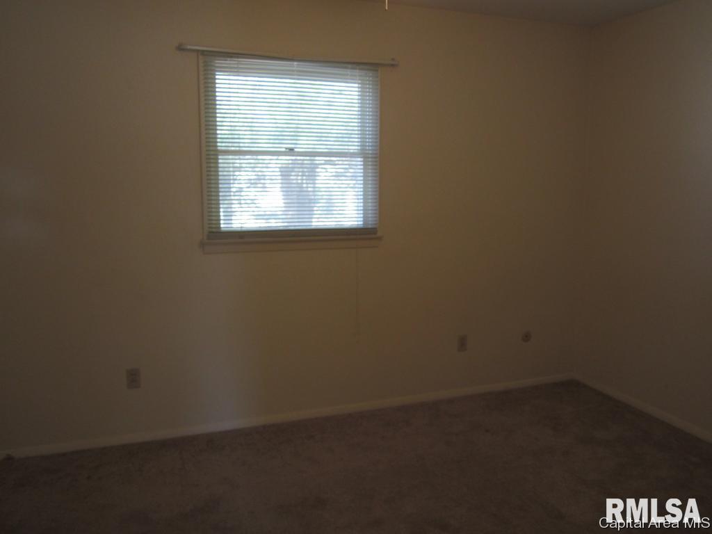517 Sattley Street Rochester, IL 62563 - Photo 14 of 22