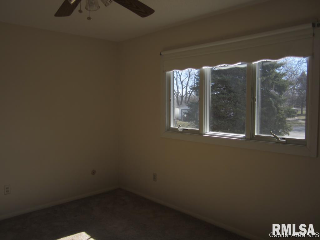517 Sattley Street Rochester, IL 62563 - Photo 15 of 22