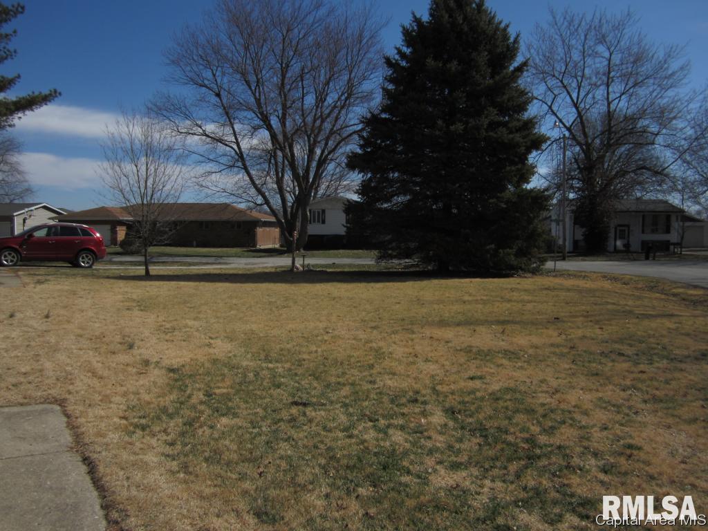 517 Sattley Street Rochester, IL 62563 - Photo 21 of 22