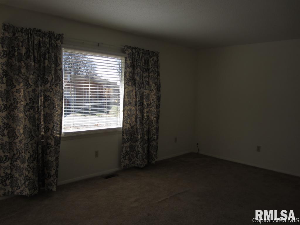 517 Sattley Street Rochester, IL 62563 - Photo 3 of 22