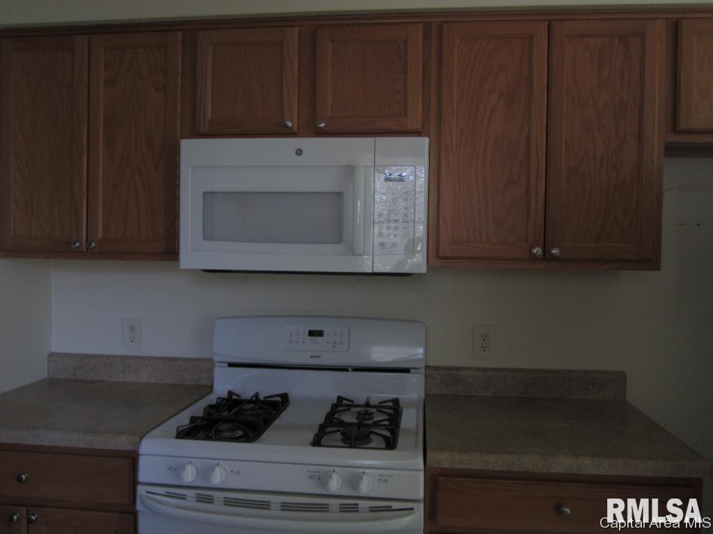 517 Sattley Street Rochester, IL 62563 - Photo 6 of 22