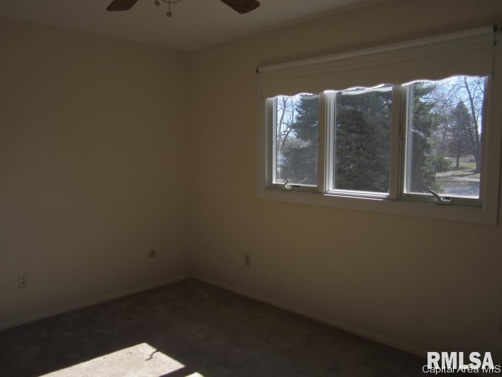517 Sattley Street Rochester, IL 62563 - Photo 9 of 22
