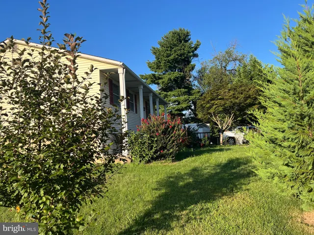 a view of a large yard with plants and large trees